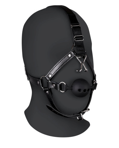 Head Harness with...